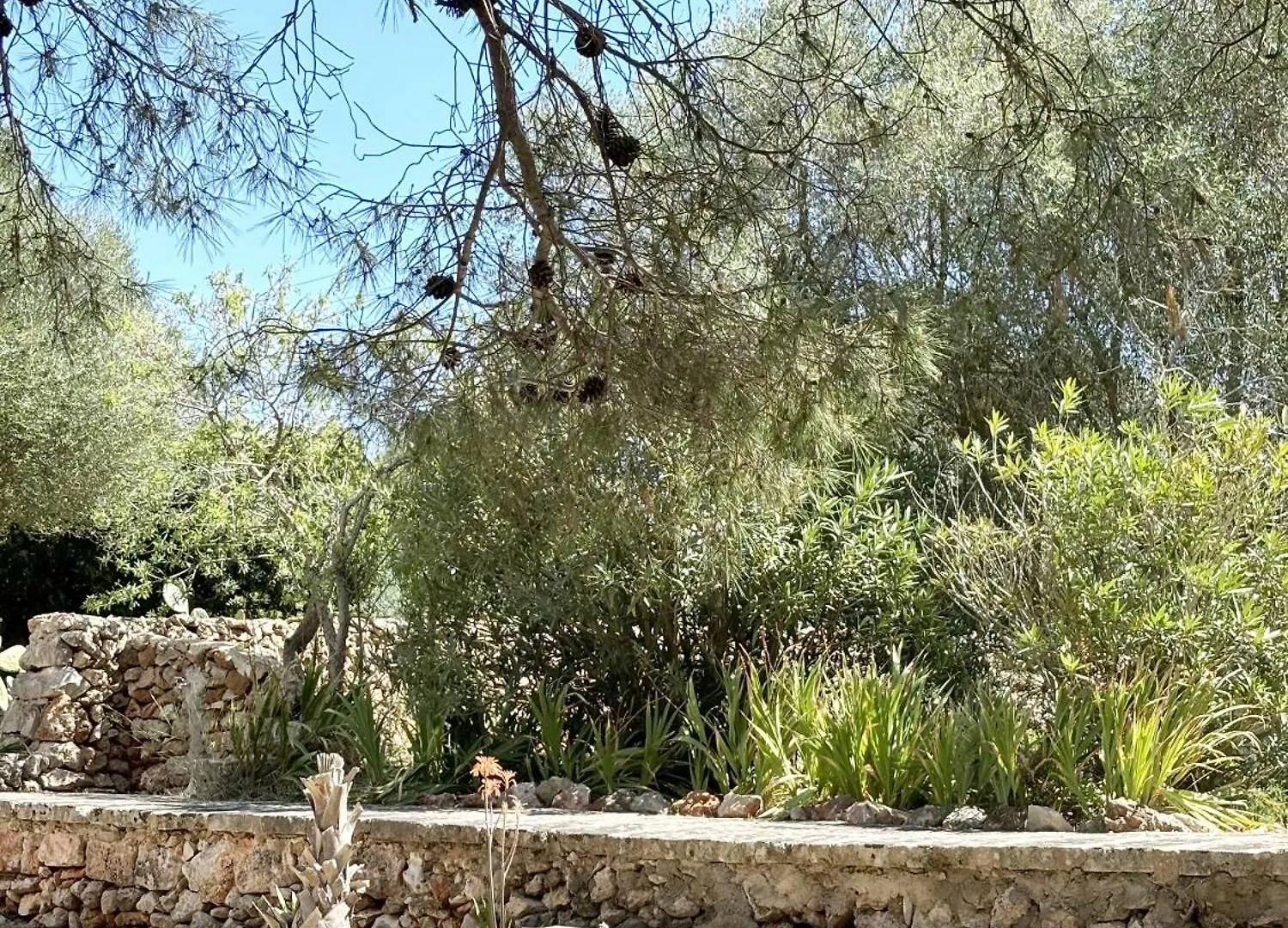 Villa Murmuri Ciutadella